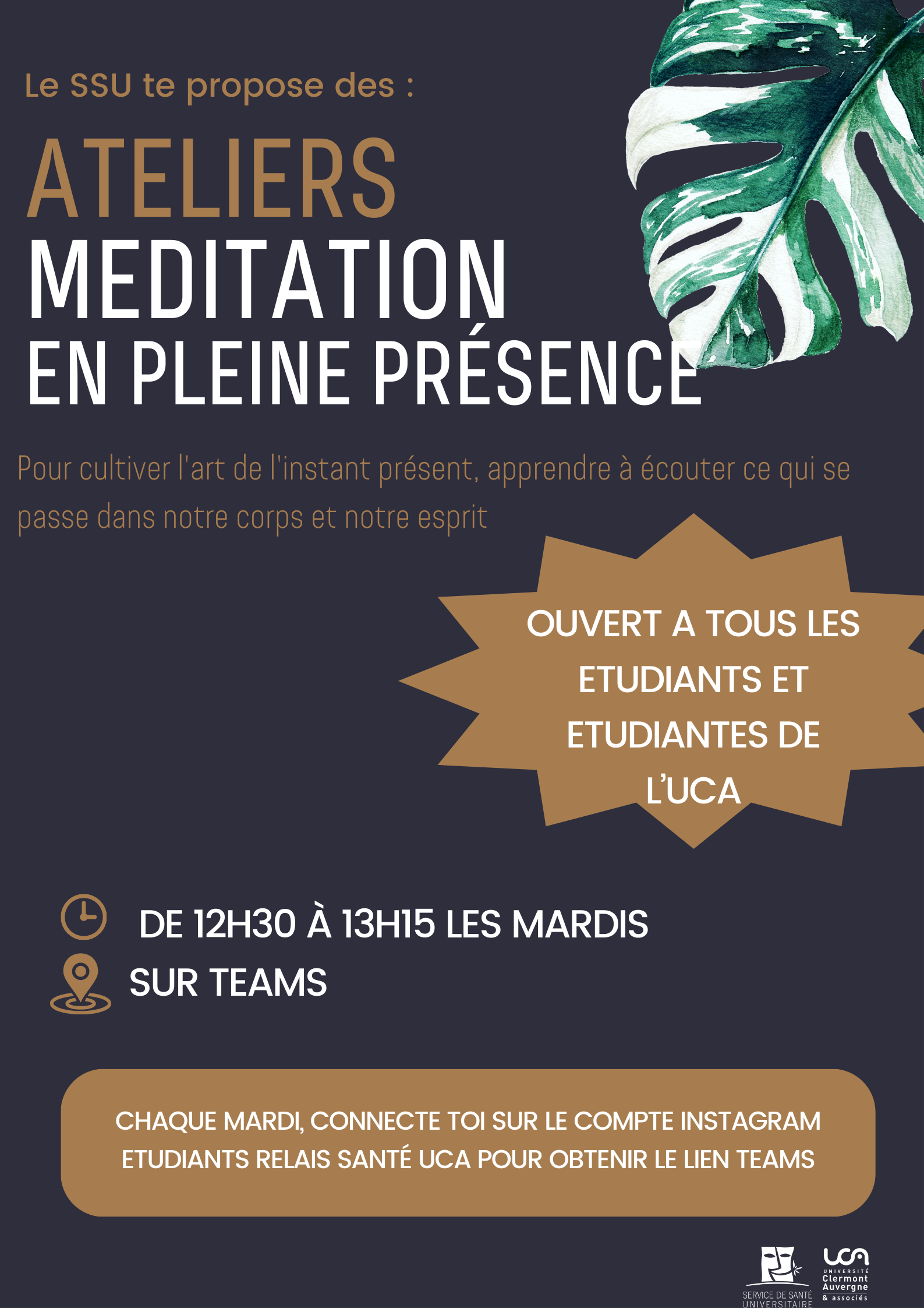 Affiche méditation teams